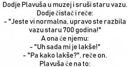 Dodje Plavuša u muzej i sruši staru vazu. Dodje čistač i reče: