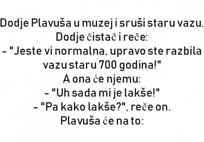 Dodje Plavuša u muzej i sruši staru vazu. Dodje čistač i reče: