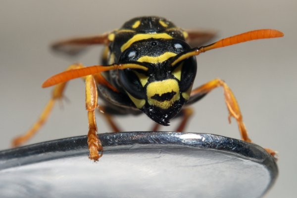 thinkstockphotos-100129676