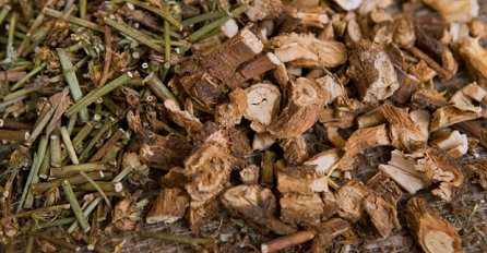 KOŠTA TRI MARKE, A POMAŽE KOD 15 TEGOBA: Čudotvorni korijen je ljekovit, ali se od njega pravi i PREUKUSNA KAFA!