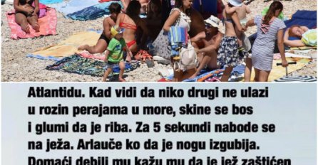 CIJELA HRVATSKA PLAČE OD SMIJEHA, DALMATINCI SPRDAJU TURISTE: 'Kad se nabode na ježa, arlauče k'o da je nogu izgubija'