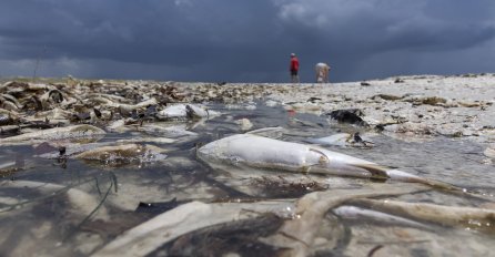 ALARMANTNO STANJE NA NAJPOPULARNIJOJ PLAŽI, PROGLAŠENO VANREDNO STANJE: 'Smrdi toliko da mi se povraća'