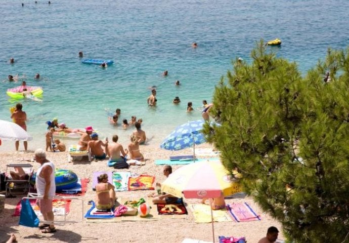 NIŠTA GORE NISAM VIDIO: Pacovi na jednoj od najpopularnijih plaža, ali OVAJ potez kupača bio još LUĐI (VIDEO)