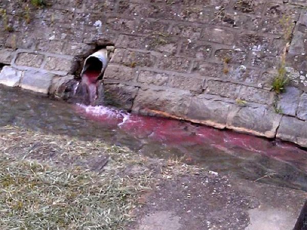 413967-vranje-1-pocrvenela-reka-ff