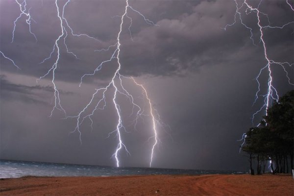 5b79c17deebee759913509