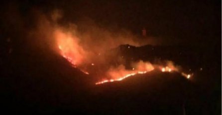 BJESNI POŽAR U CRNOJ GORI: Grom zapalio vatru, vjetar napravio HAOS, a riječi nadležnih SU ZASTRAŠUJUĆE!
