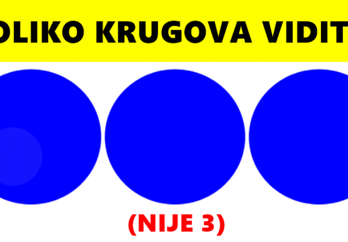 TESTIRAJTE SVOJ UM: Koliko krugova vidite na OVOJ SLICI? (3 NIJE TAČAN ODGOVOR)