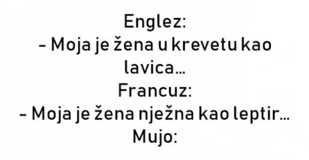 Pričaju Englez, Francuz i Mujo...