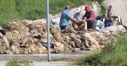 Kasno sinoć očišćen prostor na kojem su bile odložene kurbanske kože u Vogošći