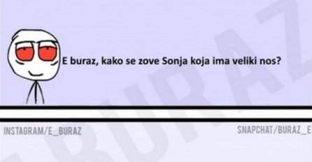 Kako se zove Sonja koja ima veliki nos?