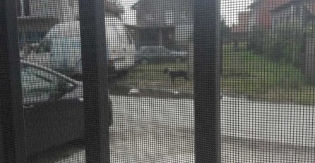 SRBI NE SMIJU DA IZAĐU IZ KUĆA: Svi su zaključani, traže pomoć - Agonija traje već satima