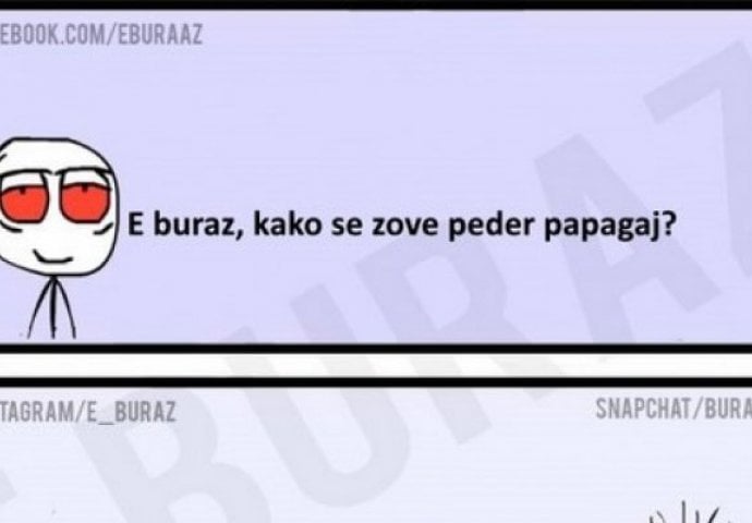 Kako se zove peder papagaj?