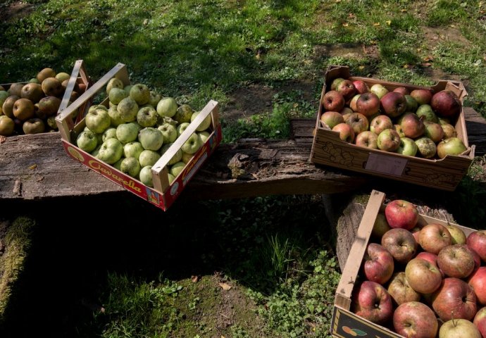 UPRAVO JE OTKRIVEN TRIK GODINE: Evo kako da vam jabuke ne potamne nakon rezanja 