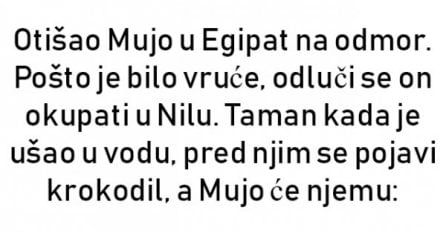 Otišao Mujo u Egipat na odmor. Pošto je bilo vruće, odluči se on okupati u Nilu.