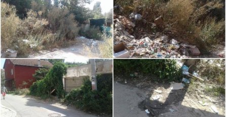 TO JE DEPONIJA: Ulica nosi ime po tragično stradalom Oliveru Ivanoviću, A IZGLEDA KAO RUGLO, TRAVA ZARASLA, SMEĆE NA SVE STRANE!