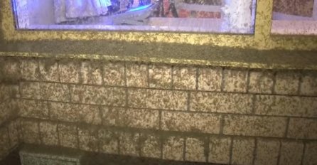 SPAŠAVAJ SE KO MOŽE, MILIJARDE KOMARACA OKUPIRALI GRAD: Prizor je jeziv, ljudi U STRAHU, ne izlaze iz kuće!