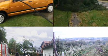 Epilog nevremena koje je poharalo region: Vjetar nosio krovove s kuća, lomio drveće i elektro kablove, stradala imanja i voćnjaci! (VIDEO)