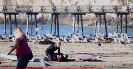 BILI SU NA PLAŽI, A ONDA JE ON PAO KAO POKOŠEN: Nastala neviđena DRAMA, kamera SVE SNIMILA!