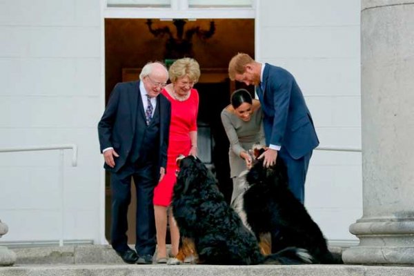 meghan-markle-prince-harry-dog-names-in-1535952669