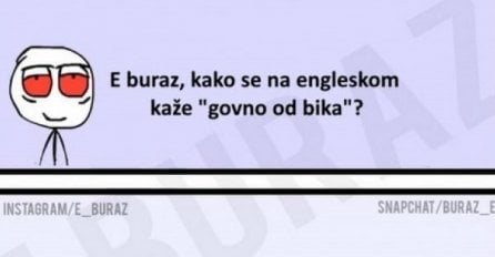 E buraz, kako se na engleskom kaže govno od bika ?