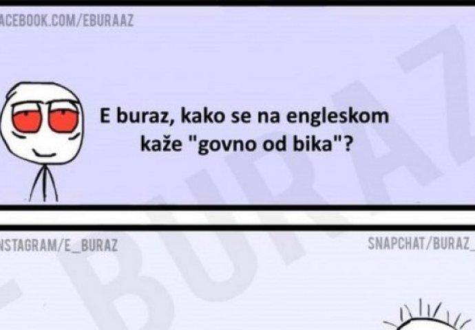 E buraz, kako se na engleskom kaže govno od bika ?