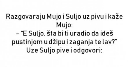 Razgovaraju Mujo i Suljo uz pivu i kaže Mujo: