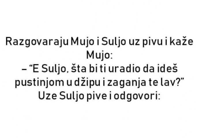 Razgovaraju Mujo i Suljo uz pivu i kaže Mujo: