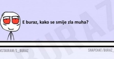 E buraz, kako se smije zla muha?