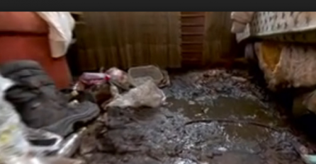 ŠTA SE DEŠAVA U HRVATSKOJ? Nestaju stabla, plaže pune fekalija, na pazaru štakori  HAOS VLADA GRADOM