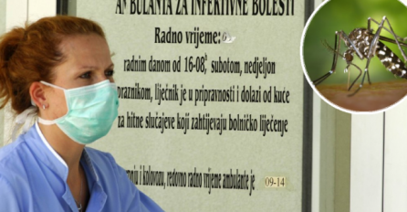 Hrvatskom hara virus koji prenose komarci: Zaraženih ljudi se bore za život