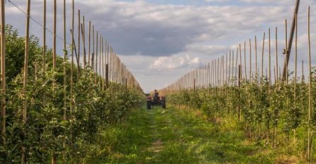 UZ OVAJ BIZNIS U SRBIJI MIRNI STE DO PENZIJE: Evo koliko tačno možete da ZARADITE!