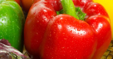 PAPRIKA NE PODNOSI OVE 4 BILJKE: Ni slučajno ih ne sadite blizu paprika, INAČE NEĆETE IMATI URODA