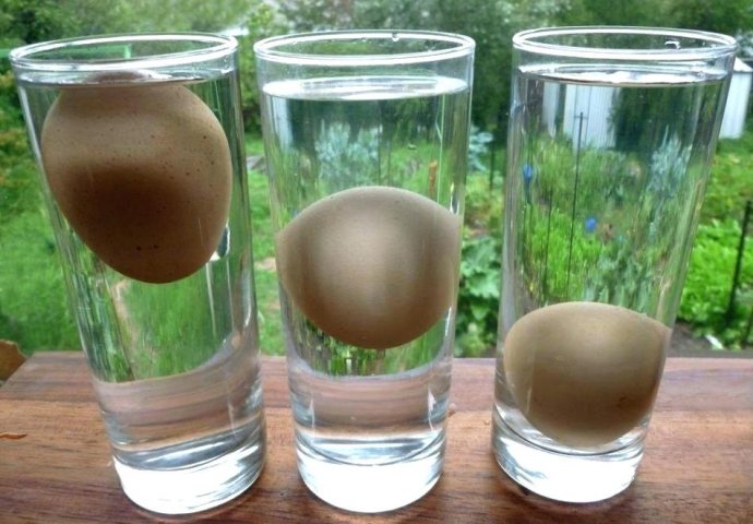 GENIJALNI TRIK: Evo kako da uz pomoć vode tačno odredite STAROST kupljenih jaja!