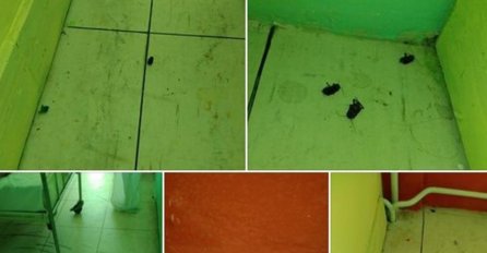 JEZIVE SCENE U SRPSKOJ BOLNICI: Otac doveo je sina da ga operišu, pa ostao snimio STRAVIČNE PRIZORE (FOTO)