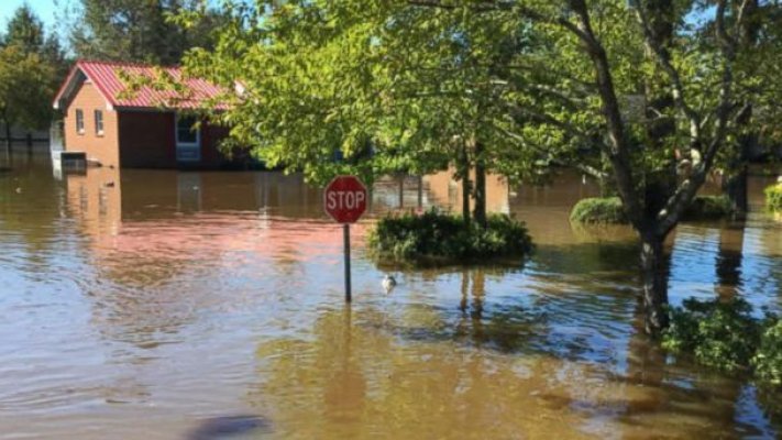 180913-abcnl-robach-hpmain-16x9-608