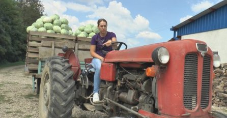 Srpkinja batalila diplomu Ekonomskog fakulteta i sjela za traktor: Dok se njena generacija provodi, ona bere zrele paprike (FOTO)