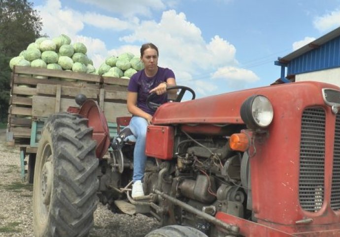 Srpkinja batalila diplomu Ekonomskog fakulteta i sjela za traktor: Dok se njena generacija provodi, ona bere zrele paprike (FOTO)