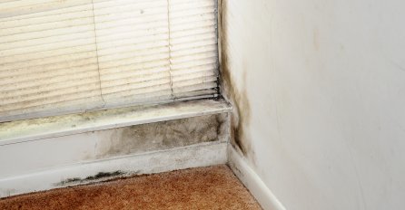 Nijemci se kunu u trik od samo 3 minuta: Kako da najlakše protjerate vlagu i buđ iz doma