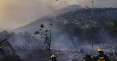 PELJEŠAC: Linija obrane od požara duga tri kilometra, na terenu je više od 300 vatrogasaca