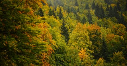 Minus na Bjelašnici, Mostar na ugodnih 14 stepeni