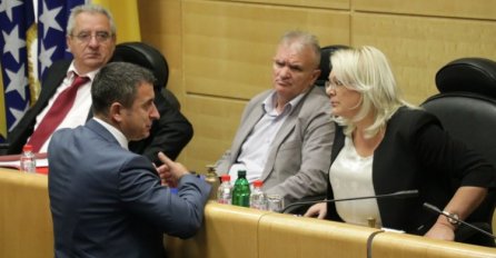 Zakon o izbornim jedinicama nije podržala većina delegata Hrvata