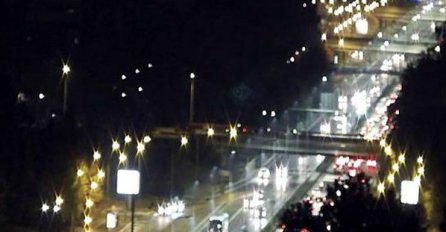 KOLAPS NA AUTOPUTU U BEOGRADU: Ogromno drvo palo na kolovoz, nastale KILOMETARSKE KOLONE! 