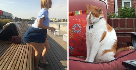 Da biste shvatili šta se dešava ove slike ćete gledati više puta: Tek kad vidite broj 10!