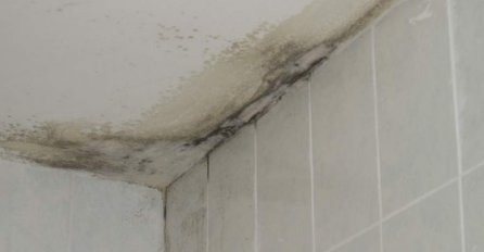 SAVJET ZLATA VRIJEDAN:  Evo kako da se ZAUVIJEK riješite vlage u vašem domu