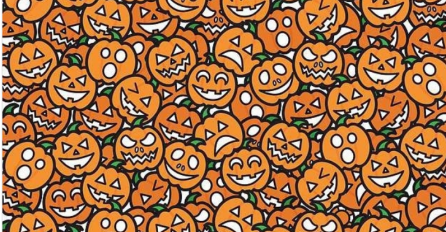 ZBOG OVE ZAGONETKE SVI LUDE: Vidite li žeton za poker među bundevama?