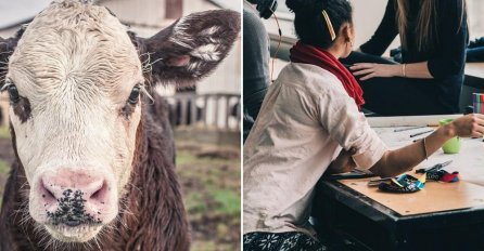 CIJELA SRBIJA ZGROŽENA OVIM PROIZVODOM KOJI SE POJAVIO U PRODAJI: Nikom nije jasno šta piše na omotu! (FOTO)