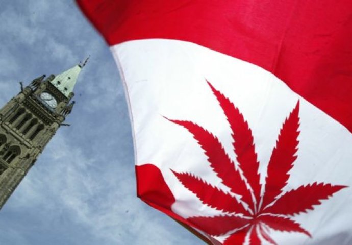 DRUGA U SVIJETU: Kanada se priprema za historijsku legalizaciju marihuane