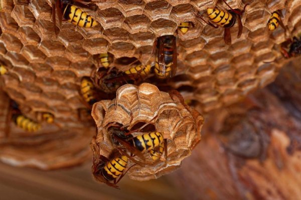 1594415-profimedia0346314188-ff