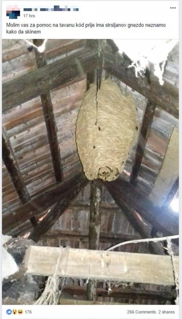 1647473-screenshot-176-censored-ff