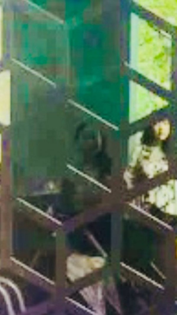 0-pay-ghost-picture-4-trianglenewsjpeg